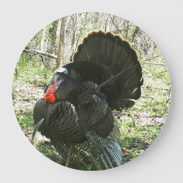 FULLT STRUT TURKEY WALL CLOCK STOR KLOCKA (Framsida)