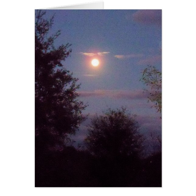 fullt Varg måne stigning vid skymning - på ett bla Hälsningskort (Framsidan)