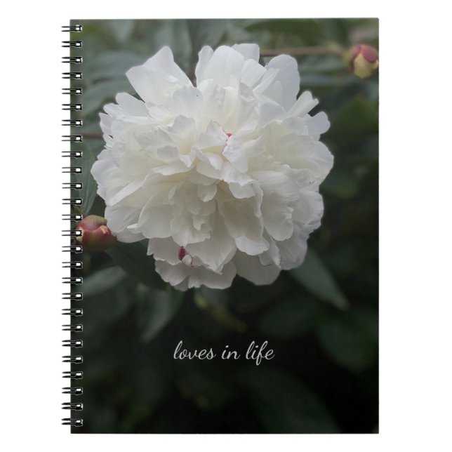 Fullt White Peony Anteckningsbok (Framsidan)