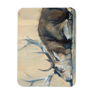 Fullvuxen hankronhjort 2014 magnet