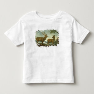 Fullvuxen hankronhjort och hind i ett skogsbevuxet t-shirt