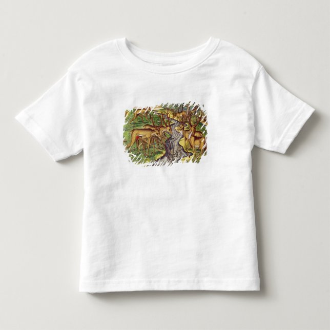 Fullvuxen hankronhjortjakt, från 'Brevis Narratio Tee Shirt (Framsida)