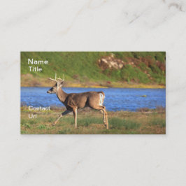 Fullvuxen hankronhjortvisitkortar visitkort