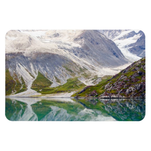 Fullvuxet i blåtten magnet (Horisontell)