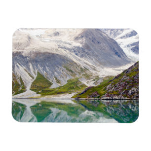 Fullvuxet i blåtten magnet