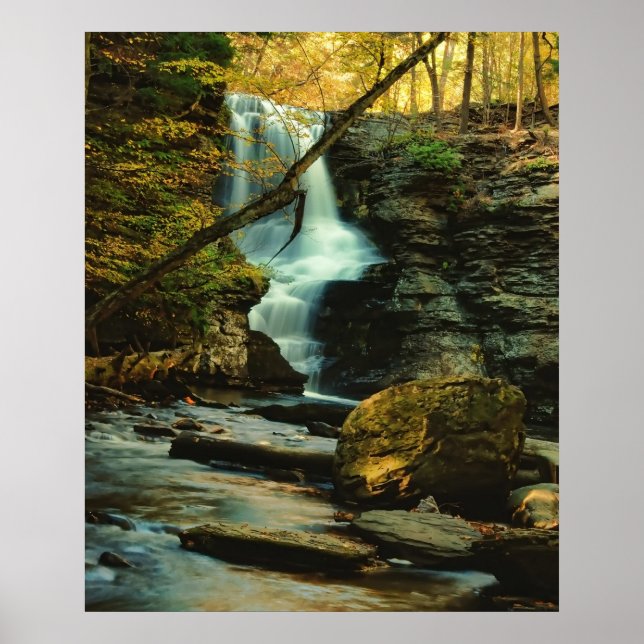 Fulmer Falls Poster (Framsidan)