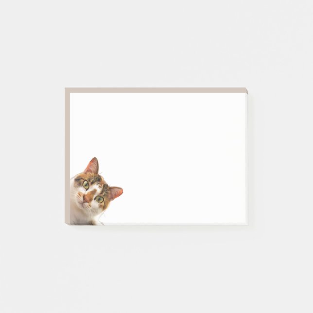 Fun Cat Kitten Looking at You Cute Animal Fun Post-it Block (Framsida)