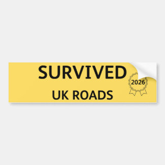 Fun Pothole Bumper Sticker SURVIVED UK ROADS 2026 Bildekal