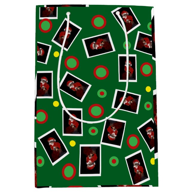 Fun Santa Cat Tabby Pet Maureen Girard noël  (Framsidan)