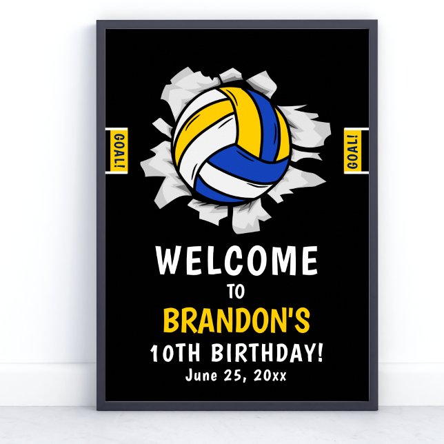 Fun Volleyball Kids Birthday Poster (Skapare uppladdad)