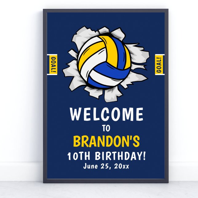 Fun Volleyball Kids Birthday Poster (Skapare uppladdad)