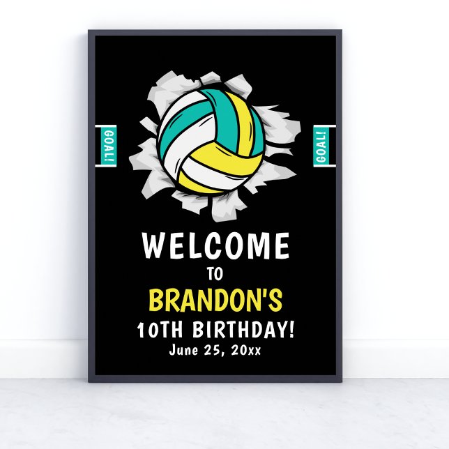 Fun Volleyball Kids Birthday Poster (Skapare uppladdad)