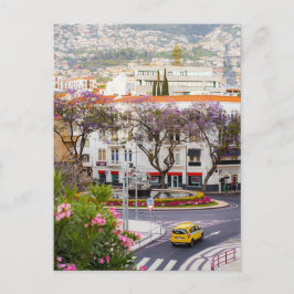 Funchal city center, Madeira Postcard Vykort