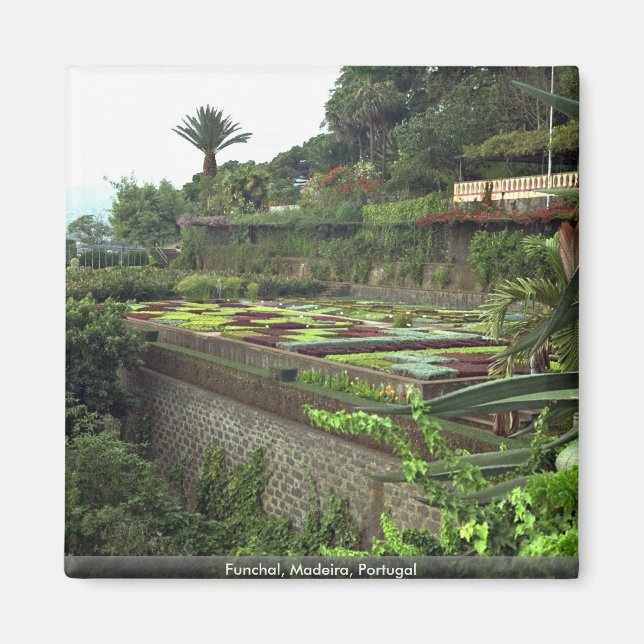 Funchal, Madeira, Portugal Magnet (Framsidan)