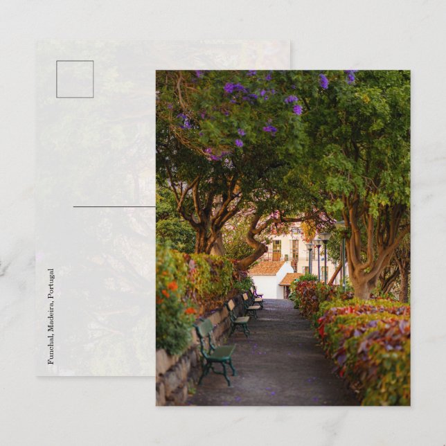 Funchal stadspark, Madeira vykort (Fram/baksida)