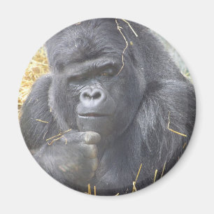 Fundersam gorillamagnet magnet
