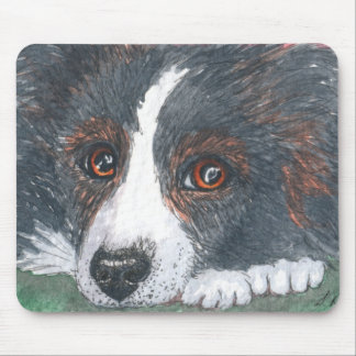 Fundersam gränsColliehund Musmatta