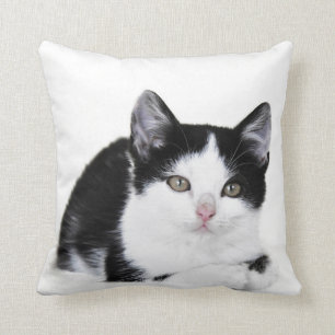 Fundersam kattungedekorativ kudde för svart vit