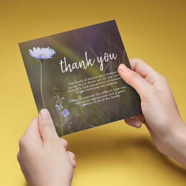 Funeral Tack | Daisy blomma (Skapare uppladdad)