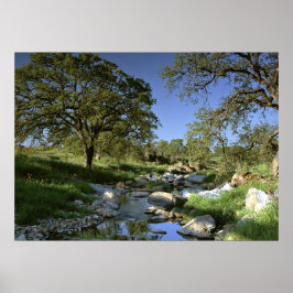 Fungerande natur poster