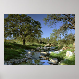 Fungerande natur poster