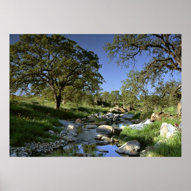 Fungerande natur poster (Framsidan)