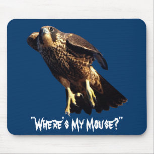 Fungerande PEREGRINE FALCON-samling Musmatta