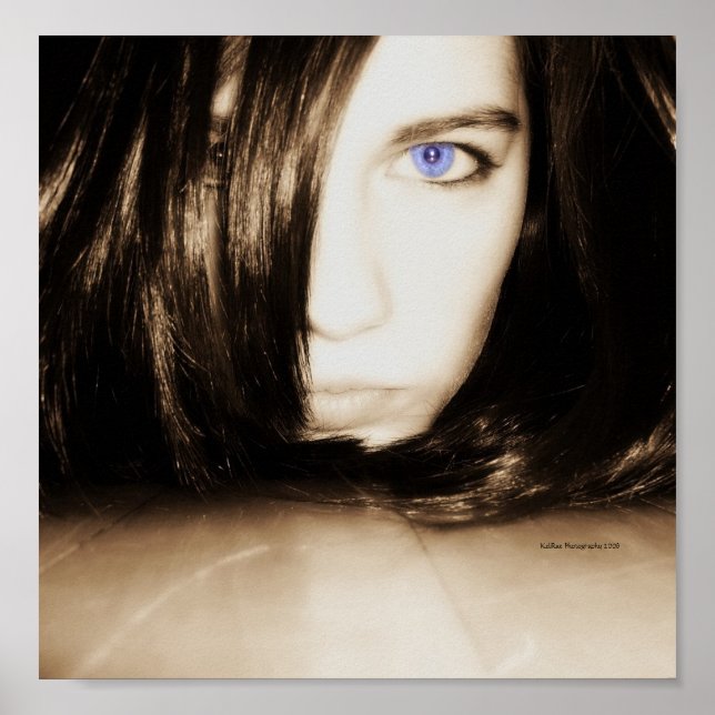 Fungerande Poster (Framsidan)