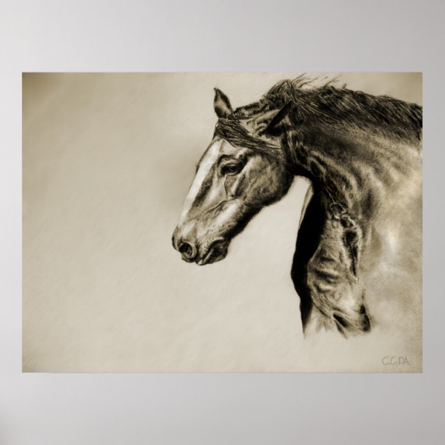 Fungerande POSTER (Framsidan)