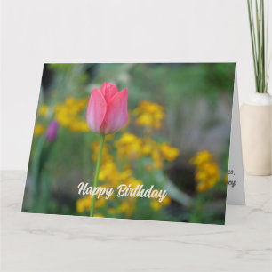 Fungerande Rosa Winter Tulip Flowers Kort