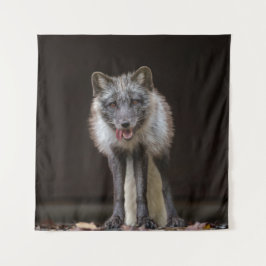 Fungerande Silver Fox