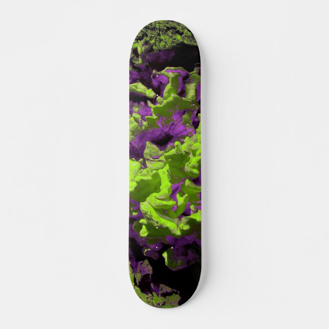 FUNGI BOARD SKATEBOARD BRÄDA 20,5 CM (Framsida)