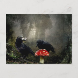 Fungi Experts Vykort