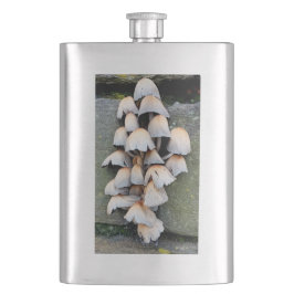 Fungi Fickplunta