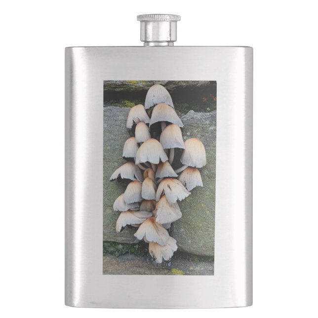 Fungi Fickplunta (Framsidan)