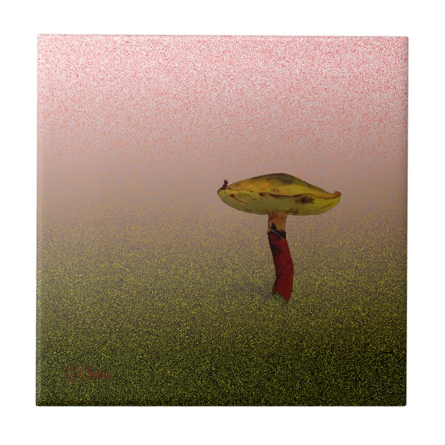 Fungi Kakelplatta (Framsidan)