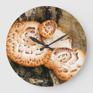 FUNGI STOR KLOCKA