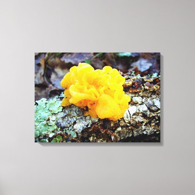 Fungi Tremella Mesenterica Kanvastryck (Framsida)