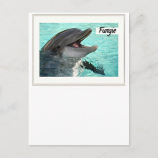 Fungie the Dolphin Postcard Vykort