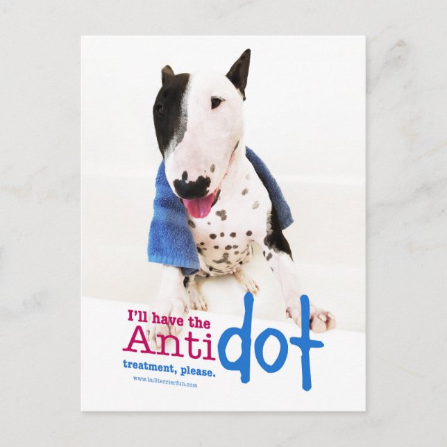 Fungny Bull Terrier Photo Greeting Card Vykort (Framsida)