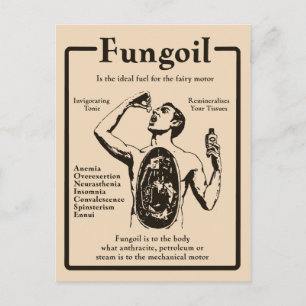 Fungoil Annons - vykort