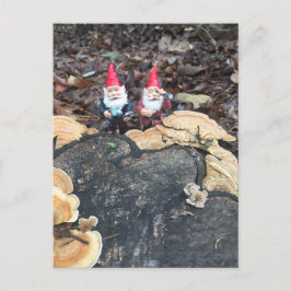 Fungus Gnomes Vykort