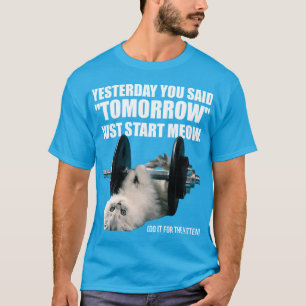 Funktionell motivation - katt - startmeny tee