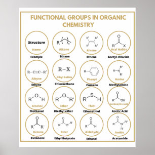 Funktionella kemigrupper poster