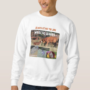 Funktionsduglig australian shepherdagilitydisk lång ärmad tröja