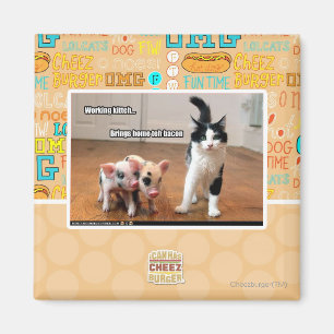 Funktionsduglig kitteh magnet