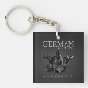 Funktionsduglig tysk herdehund - GSD
