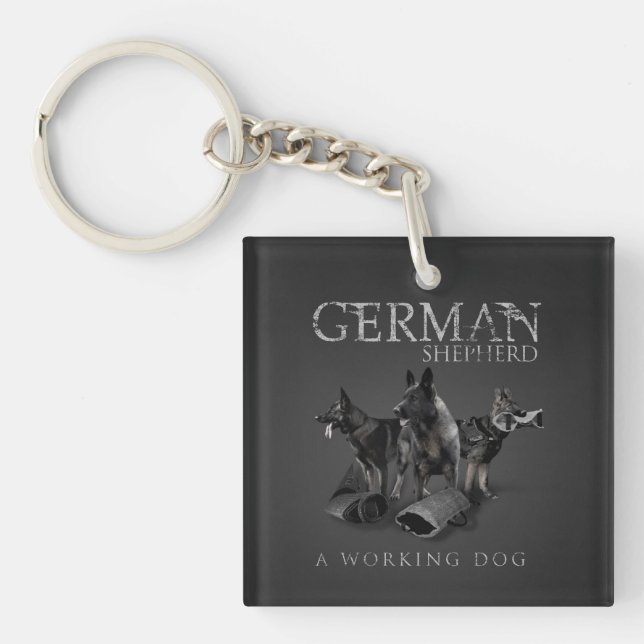 Funktionsduglig tysk herdehund - GSD (Framsidan)