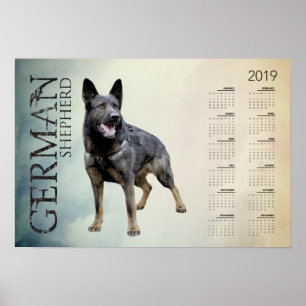 Funktionsduglig tysk herdehund - GSD-kalender 2019 Poster