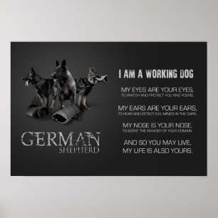 Funktionsduglig tysk herdehund - GSD Poster